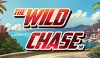 The Wild Chase (Дикая погоня)