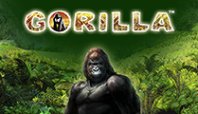 Gorilla (горилла)