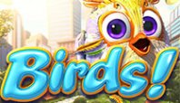 Birds (птицы)