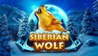 Siberian Wolf (Военный волк)