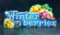 Winterberries (Зимние Ягоды)