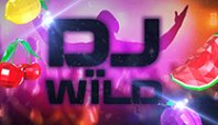 DJ Wild (DJ Wild)