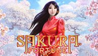 Sakura Fortune (Сакура Фортуна)