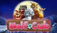 Wolf Cub (Волк-куб)