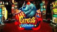 Circus Wonders (Чудеса цирка)