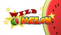 Wild Melon (Дикая дыня)